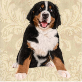 IHRE FOTO Skulptur-Schablone des Freistehende Fotoskulptur