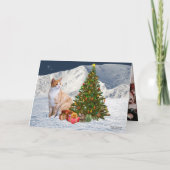 Ihre Fotos Weihnachten - Neujahrskarte (Rückseite)