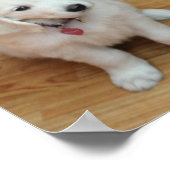 Ihre furchen Babys auf Papier Poster (Ecke)