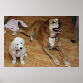 Ihre furchen Babys auf Papier Poster