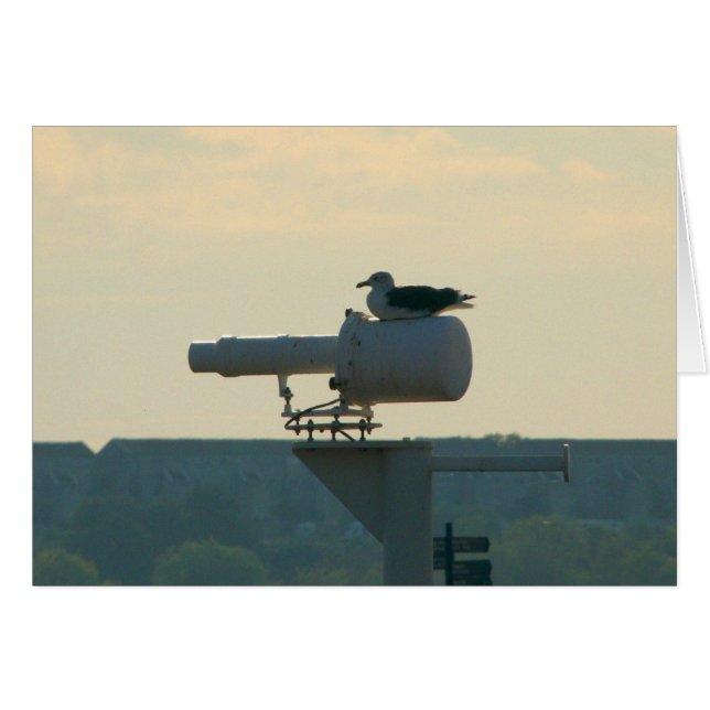 Ihre ganze Basis sind gehören uns (Vorderseite (Horizontal))