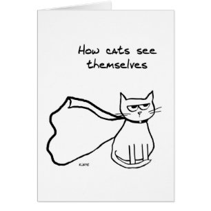 Ihre Katze der Superheld - lustiges