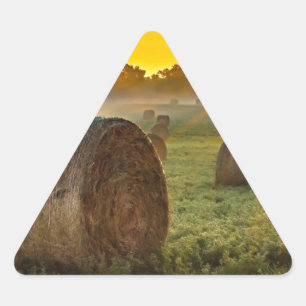 Ihre kundenspezifischen Dreieck-Aufkleber Dreieckiger Aufkleber