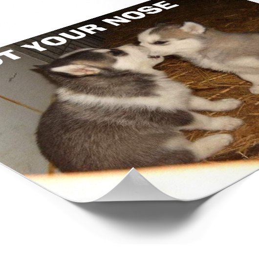 IHRE NASE got Poster (Ecke)