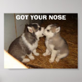 IHRE NASE got Poster (Vorne)