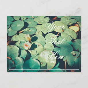 Ihre Text-Grün-Blätter Wasserlilie-Blume Postkarte