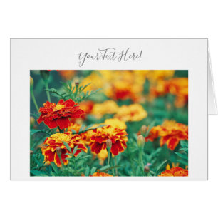 Ihre Text Prächtige Ringelblumen-Grußkarte