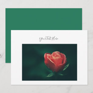 Ihre Text Prächtige rote Rosenblumen-Einladung Einladung