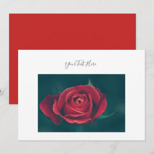 Ihre Text Prächtige rote Rosenblumen-Einladung Einladung