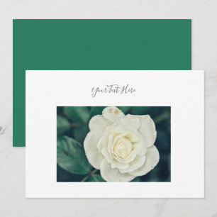 Ihre Text Prächtige Weiße Rosenblüten Einladung