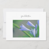 Ihre Text wunderschöne Blumen Einladung (Vorderseite)