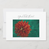 Ihre Text wunderschöne Red Dahlia Blume Einladung (Vorderseite)