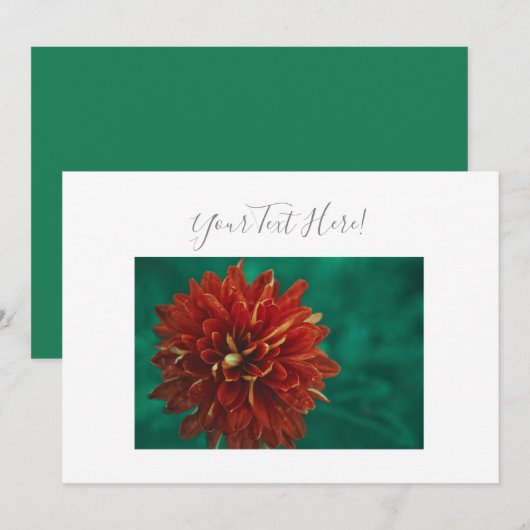 Ihre Text wunderschöne Red Dahlia Blume Einladung (Vorne/Hinten)