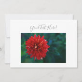 Ihre Text wunderschöne Red Dahlia Blume Einladung (Vorderseite)