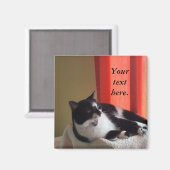 Ihre Textwörter Tuxedo Cat Foto Magnete Magnet (Vorderseite/Rückseite)
