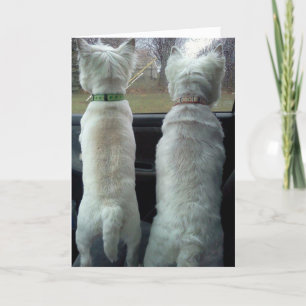 IHRE TWIN ZU SEIN IST FUN=BIRTHDAY CARD KARTE