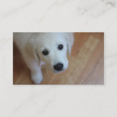 Ihre Visitenkarte zum Thema Haustiere (Rückseite)