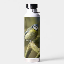 Ihre Wärmflasche mit Bluetit-Bild Trinkflasche