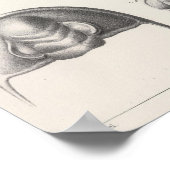 II Vorläufiger Zeitraum Poster (Ecke)