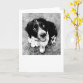 Ike Smiles Card Karte (Gelbe Blume)