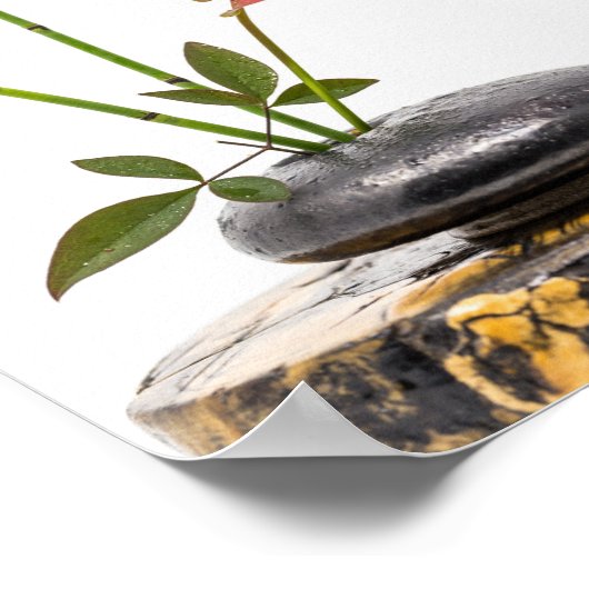 Ikebana Poster (Ecke)