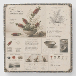 Ikebana-Studie Nr. 27 Flaschenbürste & Wilder Ast Steinuntersetzer