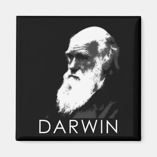 Ikonen der Wissenschaft: Darwin Magnet