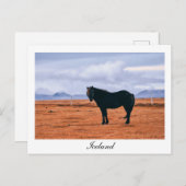Ikonisch schwarz isländische Pferdepostkarte Postkarte (Vorne/Hinten)