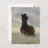 Ikonische Postkarte (Vorne/Hinten)