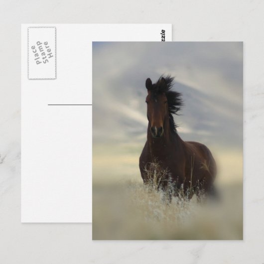 Ikonische Postkarte (Vorne/Hinten)