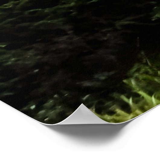 Ikonisches Foto von Belvedere Burg im NYC Poster (Ecke)