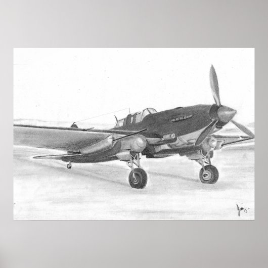 IL2 Sturmovik picture Poster (Vorne)