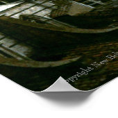 Il Duomo, Siena, Italien | Poster Print (Ecke)
