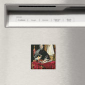 Ildefonsus Magnet (In Situ (Geschirrspüler))