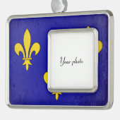 Ile-de-France Rahmen-Ornament Silber (Links)