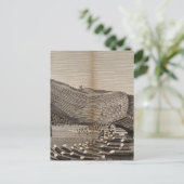 Ile de Staffa Postkarte (Stehend Vorderseite)