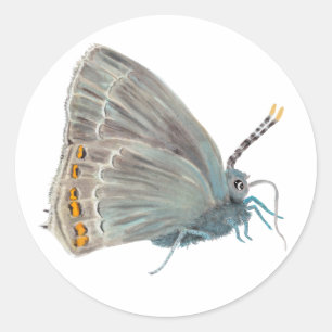 Ilex Hairstreak Butterfly Satyrium ilicis Runder Aufkleber