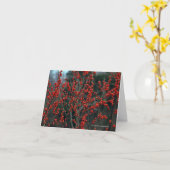 Ilex verticillata, Winterberry Karte (Gelbe Blume)