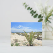 Ilha de Tavira Postkarte (Stehend Vorderseite)