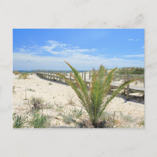 Ilha de Tavira Postkarte