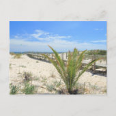 Ilha de Tavira Postkarte (Vorderseite)