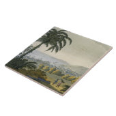 Ilheus (Farbstich) Fliese (Seite)