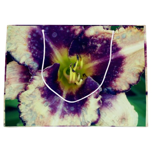 Ilium Fotografie  Große Geschenktüte (Vorderseite)