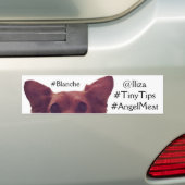 Iliza Shlesinger Blanche Autoaufkleber (Auf Auto)