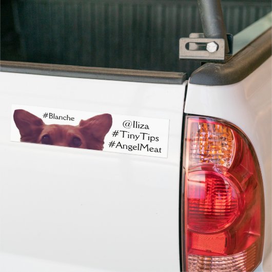 Iliza Shlesinger Blanche Autoaufkleber (Auf Lkw)