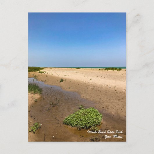 Illinois Beach Staat Park Postkarte (Vorderseite)