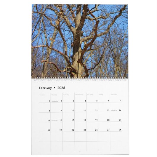 Illinois Beauty 2025 Kalender (Feb 2026)