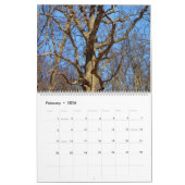 Illinois Beauty 2025 Kalender (Feb 2026)