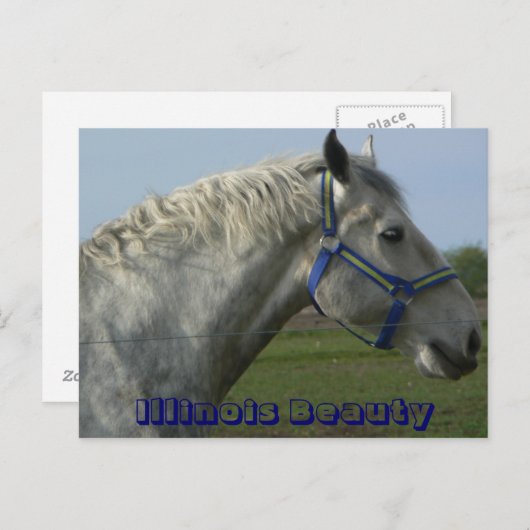Illinois Beauty Postkarte (Vorne/Hinten)