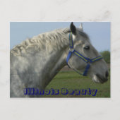 Illinois Beauty Postkarte (Vorderseite)